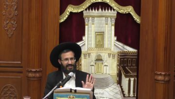 פרטי: [ID: ePZ9Jt-ElFI] Youtube Automatic