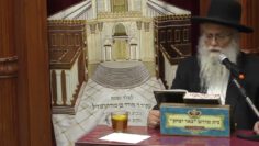 פרטי: [ID: 4CA8HDDs3R4] Youtube Automatic