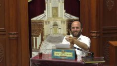 פרטי: [ID: dv-t–fHpms] Youtube Automatic