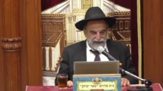 פרטי: [ID: kcNpmFKSv3M] Youtube Automatic