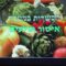 [ID: QZfJRQvk0rw] Youtube Automatic